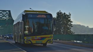 Ułatwienie dla pasażerów MPK? Radna ma nowy pomysł dla Włocławka