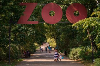 Nagły komunikat zoo. "Przepraszamy za pokrzyżowane plany"