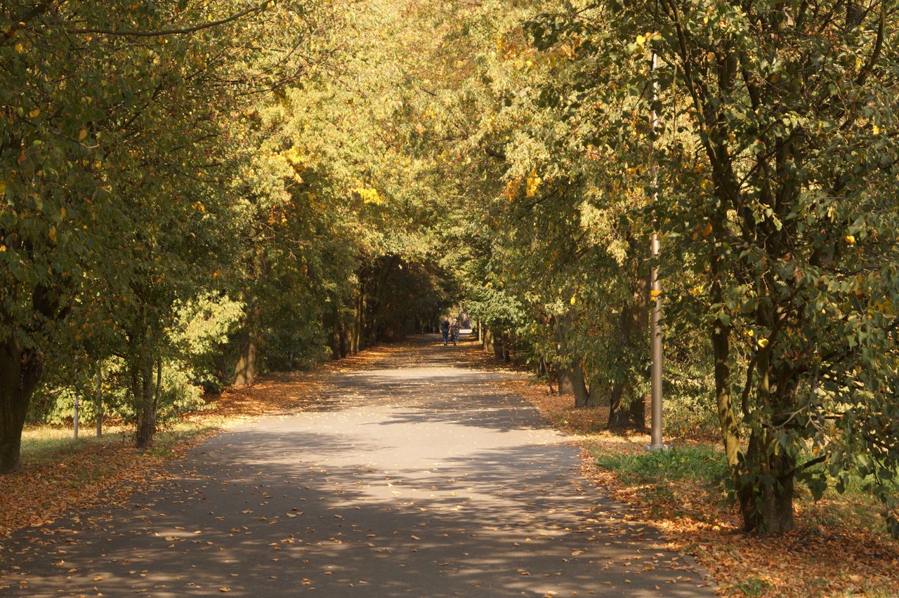 Słupsk: W parku przy alei Sienkiewicza będzie bezpieczniej. Pojawił się monitoring i nowe oświetlenie