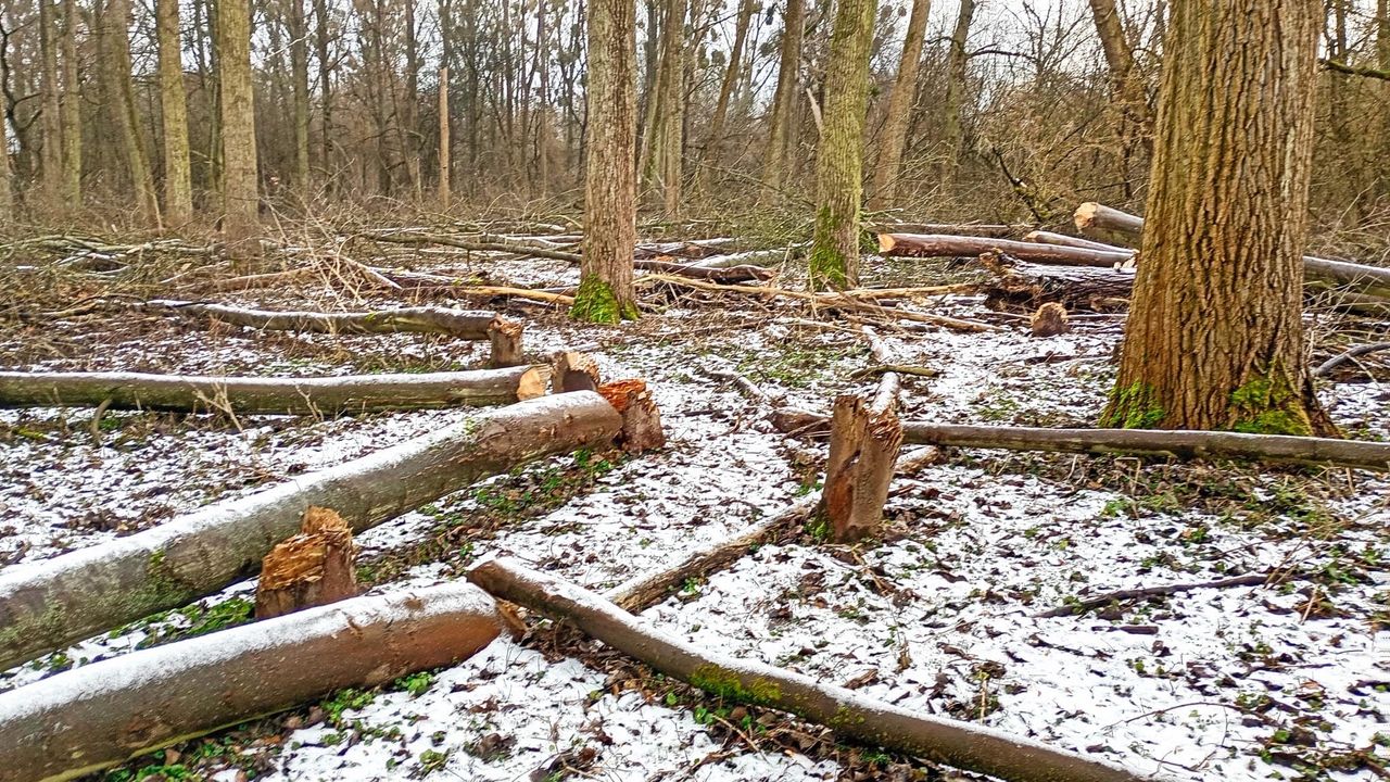 Tym żyła Metropolia [2-3.01.2026 r.]