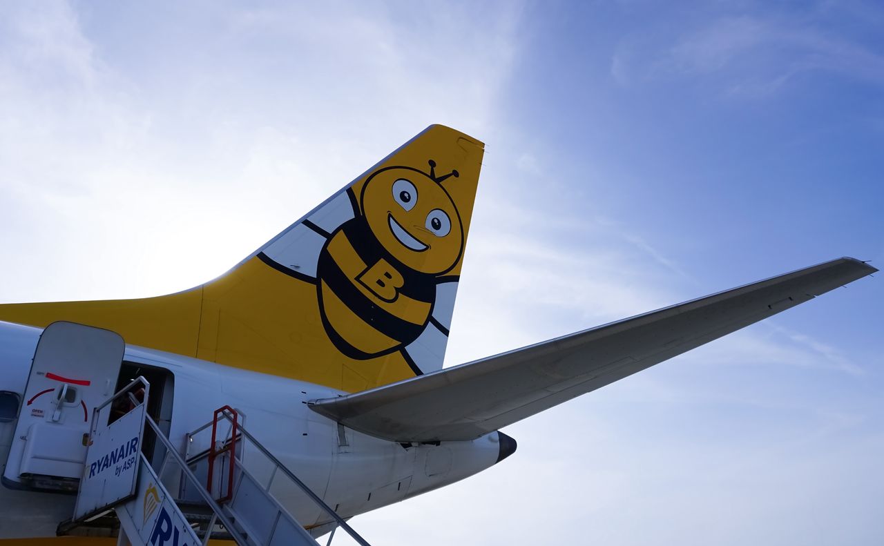 Tania linia rekrutuje w Polsce. Wiemy ile można zarobić