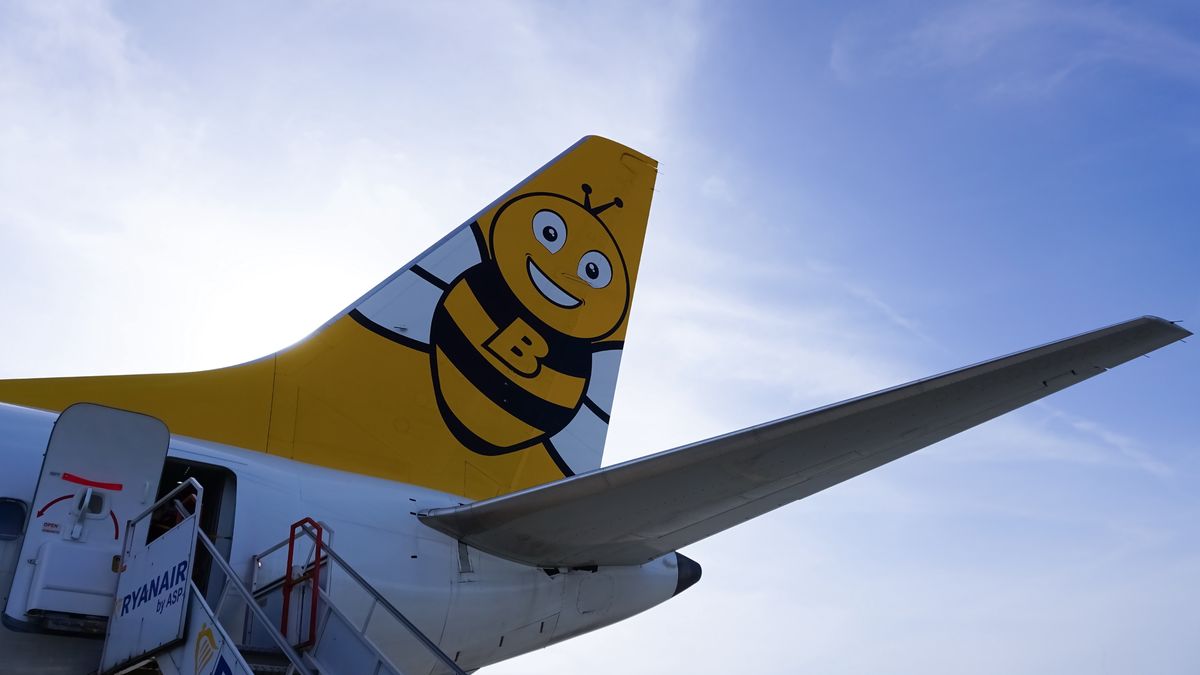 Buzz poszukuje pracowników w Polsce 