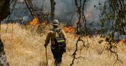 Portugalia w stanie alarmowym. Pożary lasów i fala upałów zagrażają bezpieczeństwu kraju
