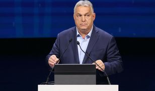 Obraźliwe słowa Orbana. "Pluskwy"