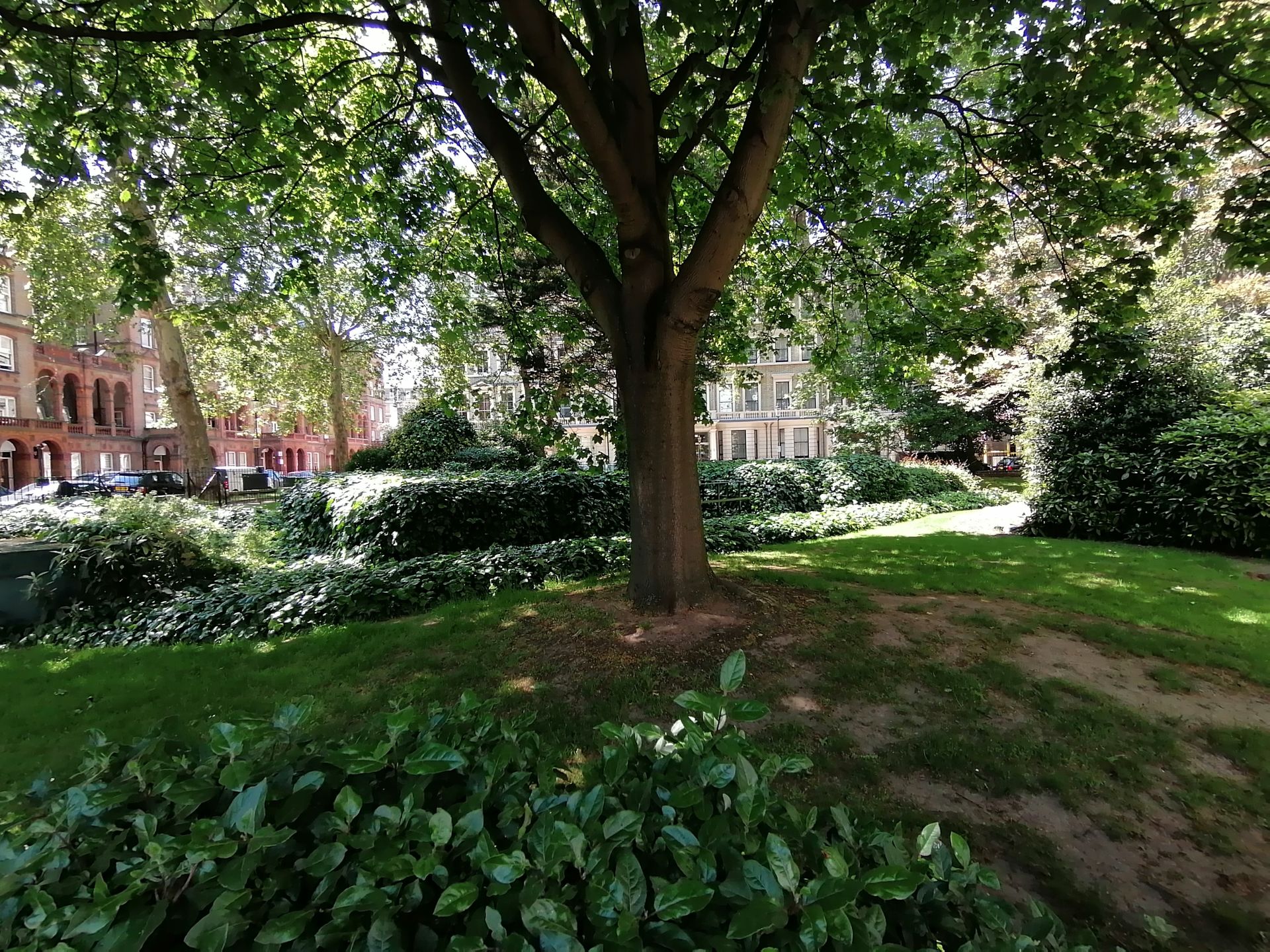 Honor 20 Lite oficjalnie. Nowy smartfon już w Polsce 3