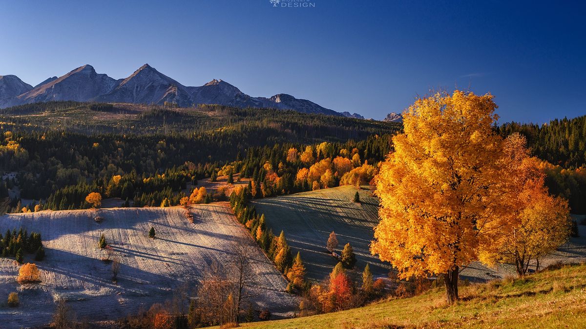 Piękno polskiej jesieni na zdjęciach naszych czytelników. W tym roku jest wyjątkowa! 1