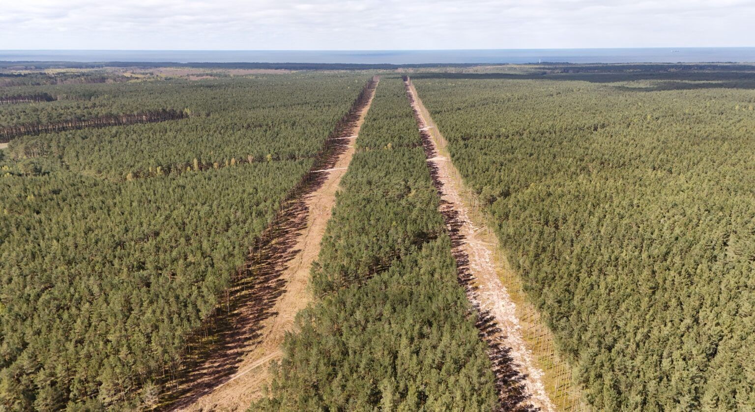 Wycinka drzew pod ławy kablowe w gminie Choczewo