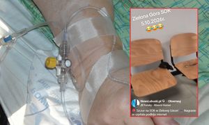 Szczur na SOR-ze w Zielonej Górze. Szpital reaguje. Jest nagranie