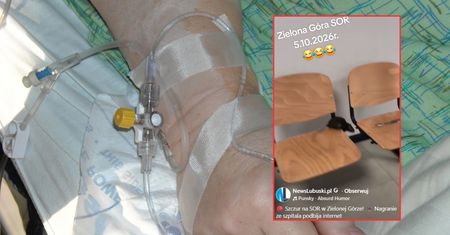 Szczur na SOR-ze w Zielonej Górze. Szpital reaguje. Jest nagranie