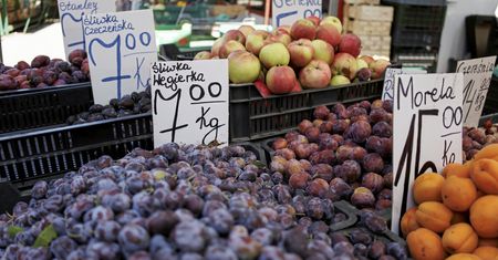 Zła wiadomość dla miłośników śliwek. Ekspert nie ma wątpliwości