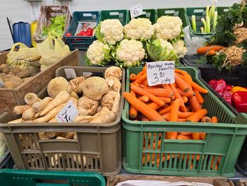 Starogard Gdański: Lokalne targowiska oferują produkty tanie i świeże