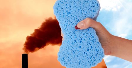 Naukowcy z Cambridge mają pomysł, jak oczyścić atmosferę. Użyją do tego gąbki