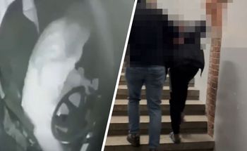 Ataki na kierowców MPK. Sprawca został zatrzymany