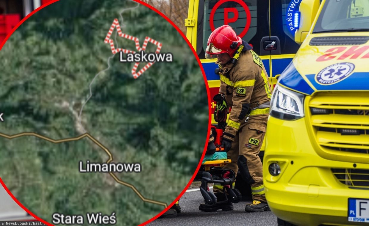 Zawalenie kamienicy w Łowiczu: ewakuacja sąsiedniego budynku, akcja ratownicza z psami — image 3