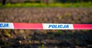 Leszno: Spacerowicz znalazł materiały wybuchowe w rejonie Gronówki