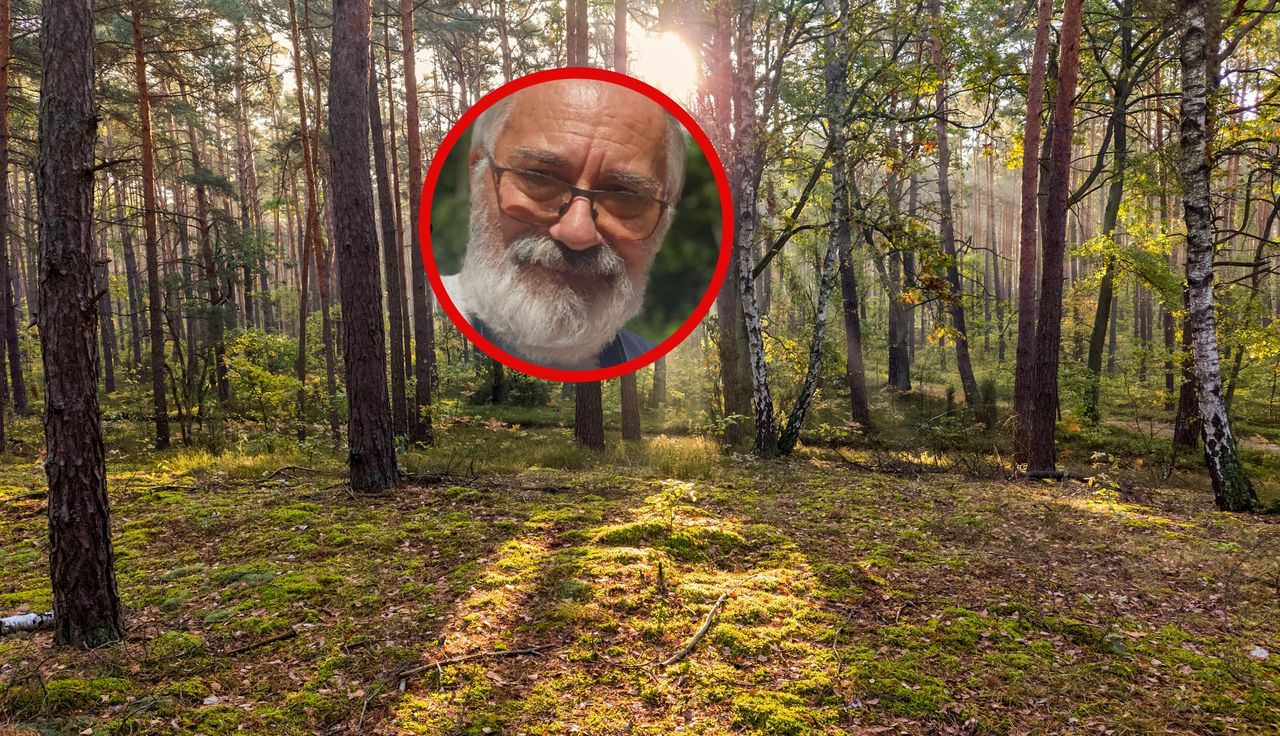 Potwierdza "eldorado" w polskich lasach. Oto na co trzeba uważać