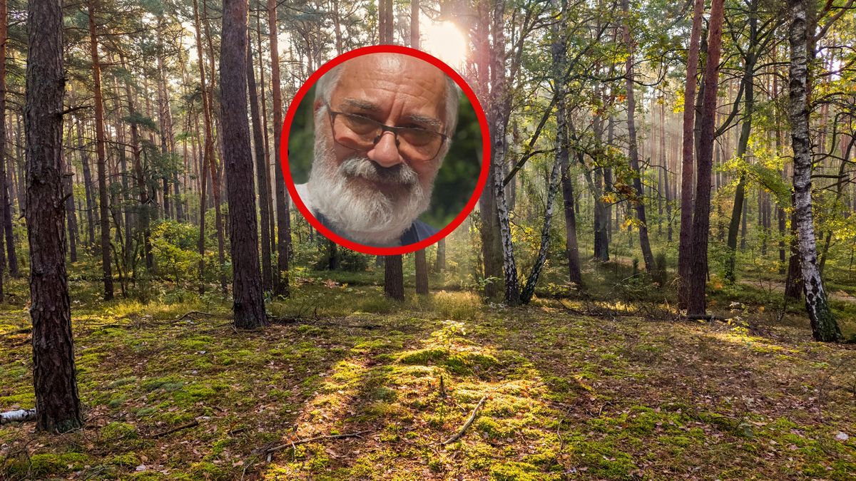 Grzyboznawca mówi o sytuacjach w polskich lasach.