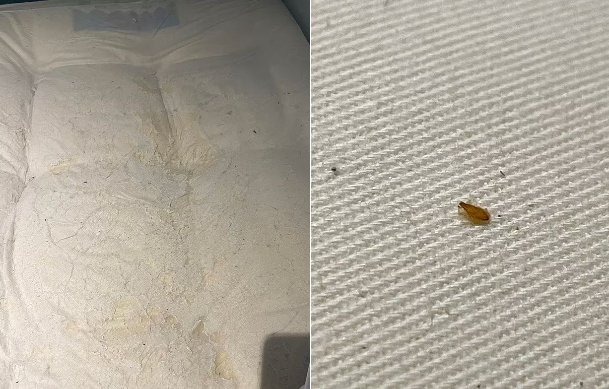 Tak wyglądał materac w hotelu