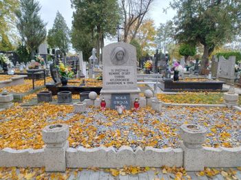 Konin: Symboliczny gest pamięci. Muzeum upamiętniło ofiary