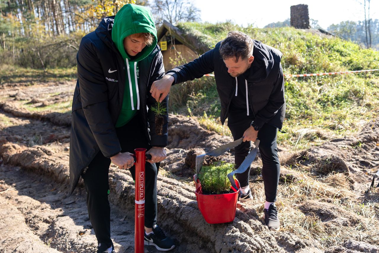 "Ale Zasadził!" – piłkarze Warty Poznań znowu sadzą drzewa dla klimatu