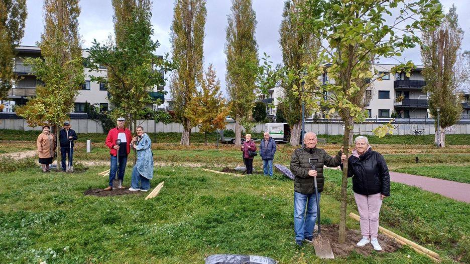 Każda para świętująca wieloletnie pożycie małżeńskie zasadziła swoje drzewko