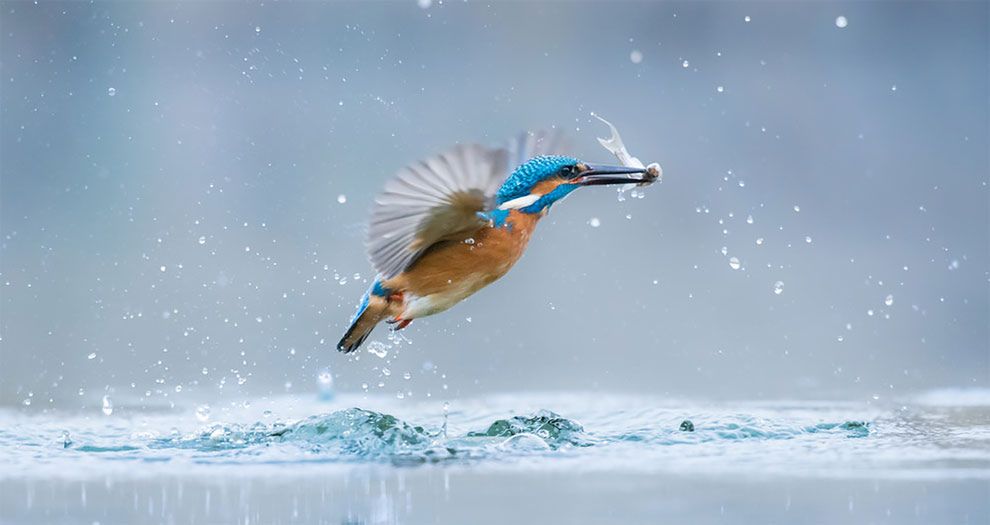 Młodzi finaliści konkursu „World Wildlife Day Photography Competition" i ich świetne zdjęcia przyrody 10