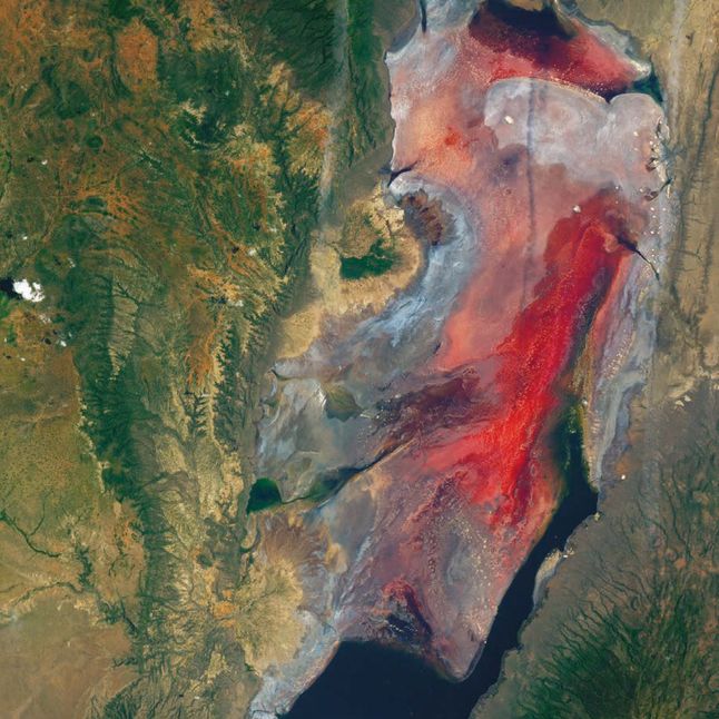 Jezioro Natron w Tanzanii