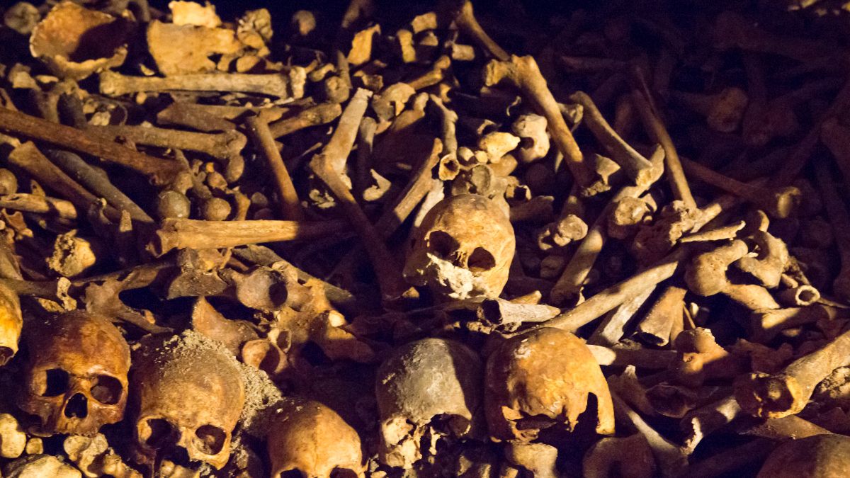 Odkryto masowy grób