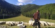 Skandaliczne zachowanie turystów w Tatrach. "Pani chce i już"
