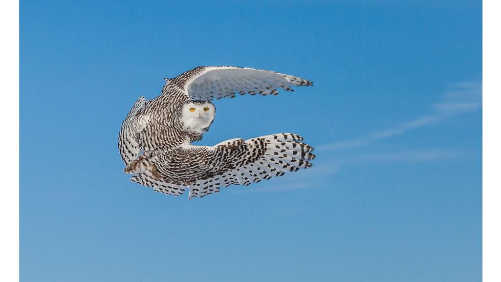 Poznaliśmy zwycięzców konkursu It’s Amazing Out There 2016 1