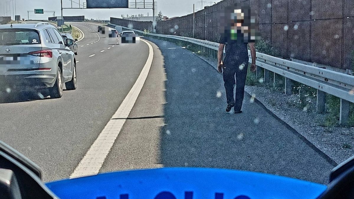 Mężczyzna szedł drogą krajową na S7