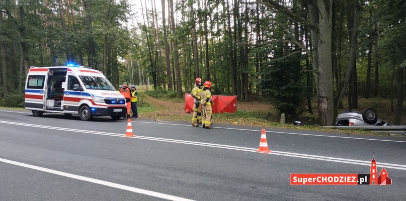 Śmiertelny wypadek na DK11 w okolicy Chodzieży