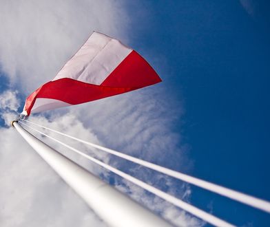 Wybory samorządowe 2024 Sosnowiec. Lista kandydatów na prezydenta miasta
