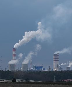 Kurek zakręcony. 120 mln zł poszło na darowizny i sponsoring