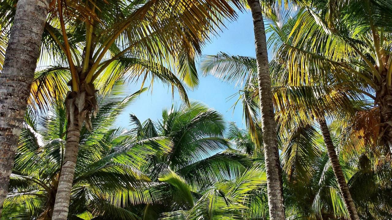"Las Palmas” nad zamojskim zalewem. Na dobre rusza tam sezon turystyczny