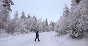 Rekordowe mrozy w Laponii. Pierwsza taka temperatura tej zimy