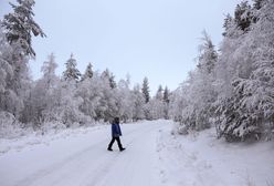 Rekordowe mrozy w Laponii. Pierwsza taka temperatura tej zimy