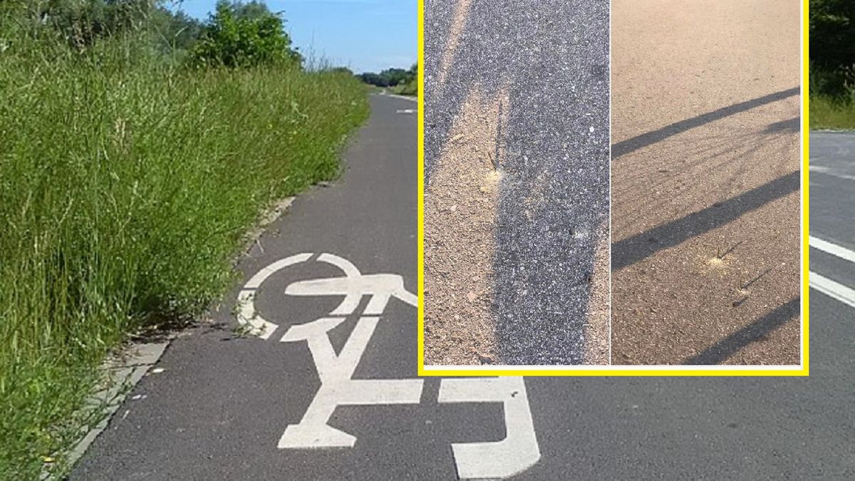 Gwoździe na ścieżce rowerowej.
