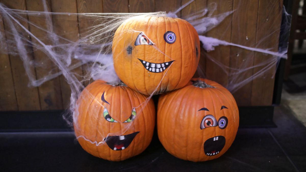 Polska to największy producent dyni w UE