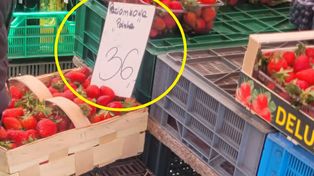 Co roku to samo. Zdjęcie z bazaru. Spójrzcie na truskawki "Polska"