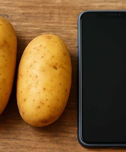 Osiemnastolatki za kratkami. Pomysł na zarobek skończył się aresztem