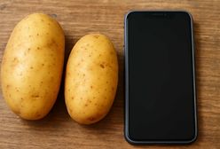 Osiemnastolatki za kratkami. Pomysł na zarobek skończył się aresztem