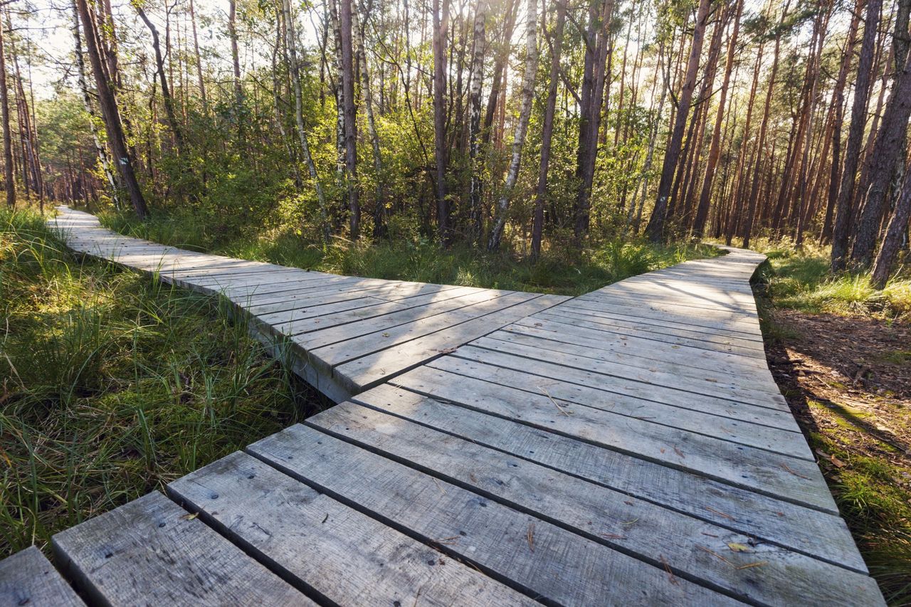 Poleski Park Narodowy