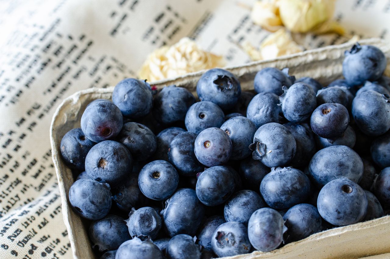 Dieta planetarna – na czym polega i po co ją stosować?