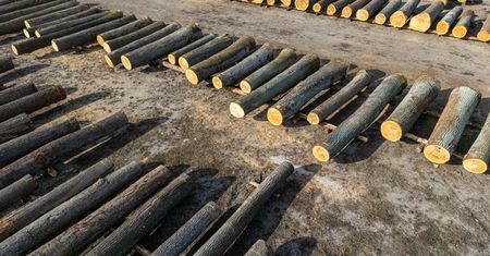 Niemiecki producent kończy współpracę z Polską. Oto konsekwencje