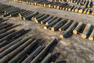 Niemiecki producent kończy współpracę z Polską. Oto konsekwencje