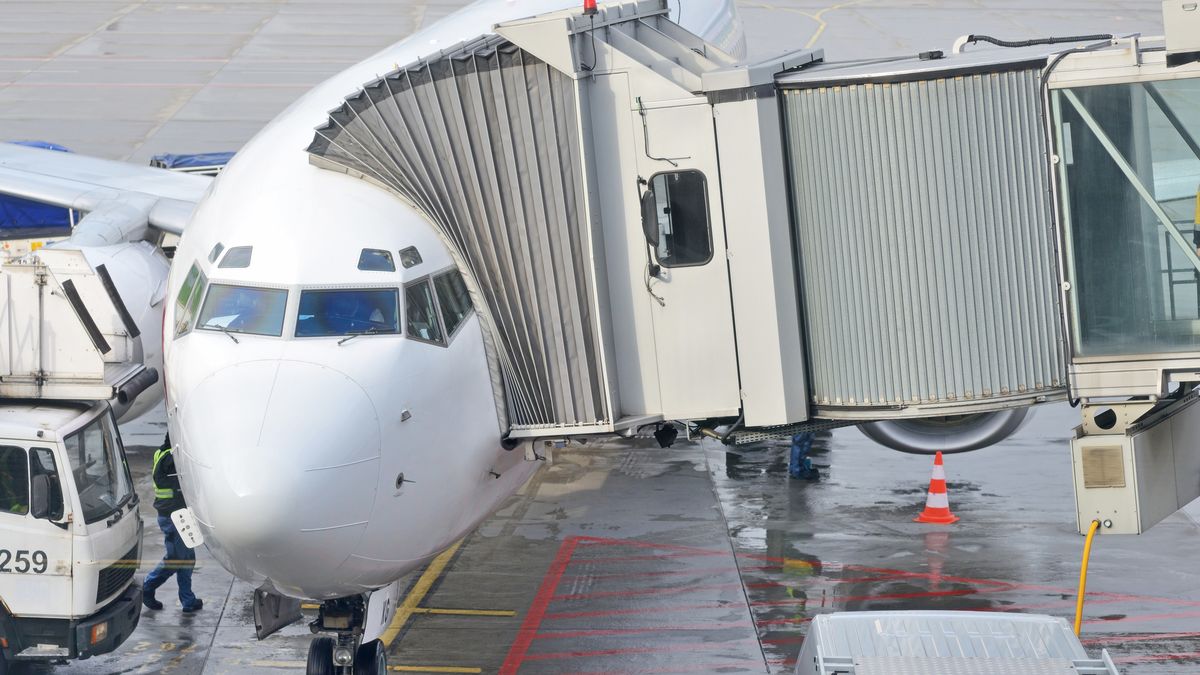 Straż Graniczna ściga linie lotnicze za nieprzekazywanie danych pasażerów. Przewoźnicy twierdzą, że system nie był do tego przygotowany i uważają, że w Polsce zbyt mocno skoncentrowano się na karach, a nie na współpracy przy wdrażaniu nowych przepisów. 