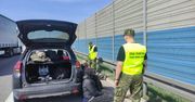 Ukrainiec przewoził grupę nielegalnych migrantów. Wpadł na autostradzie A2 pod Łodzią