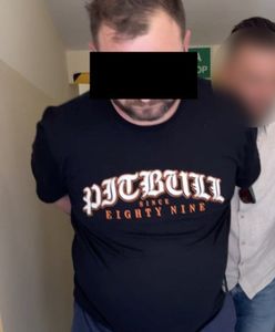Gang sutenerów rozbity. Cztery osoby w rękach policji