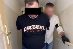 Gang sutenerów rozbity. Cztery osoby w rękach policji